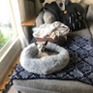 Meet your Posher, Rcherry2121